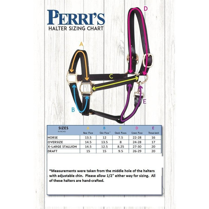 1" Turnout Halter by Perri's Leather
