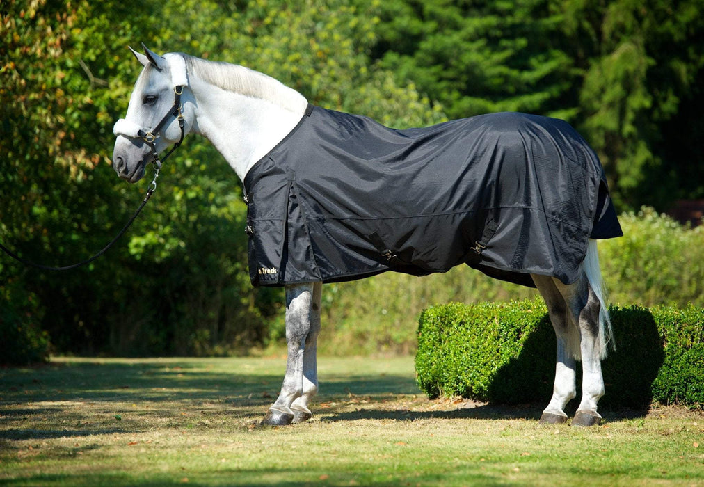 Back on Track Horse - Therapeutic Turnout Sheet