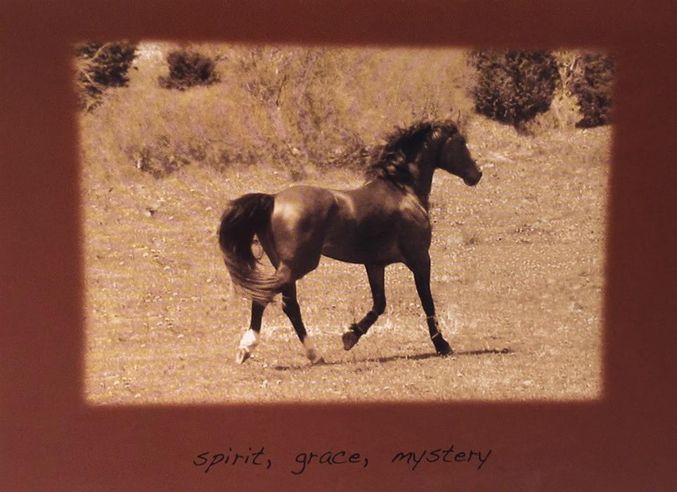 Sympathy Horse Greeting Card - Spirit, Grace, Mystery