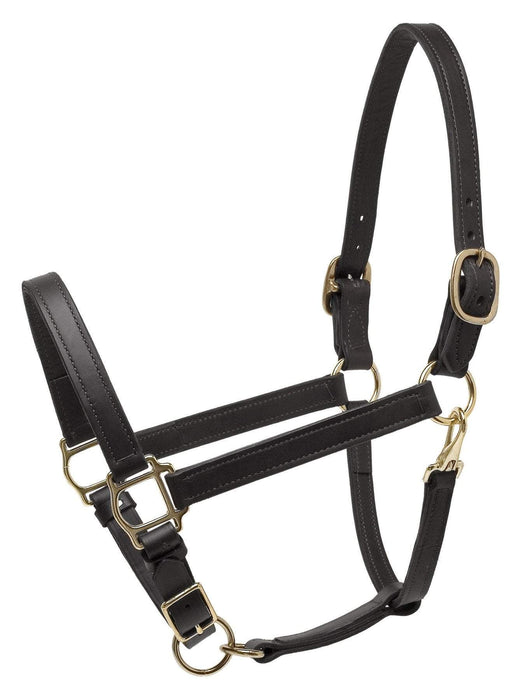 Deluxe Turnout Halter by Perri's Leather