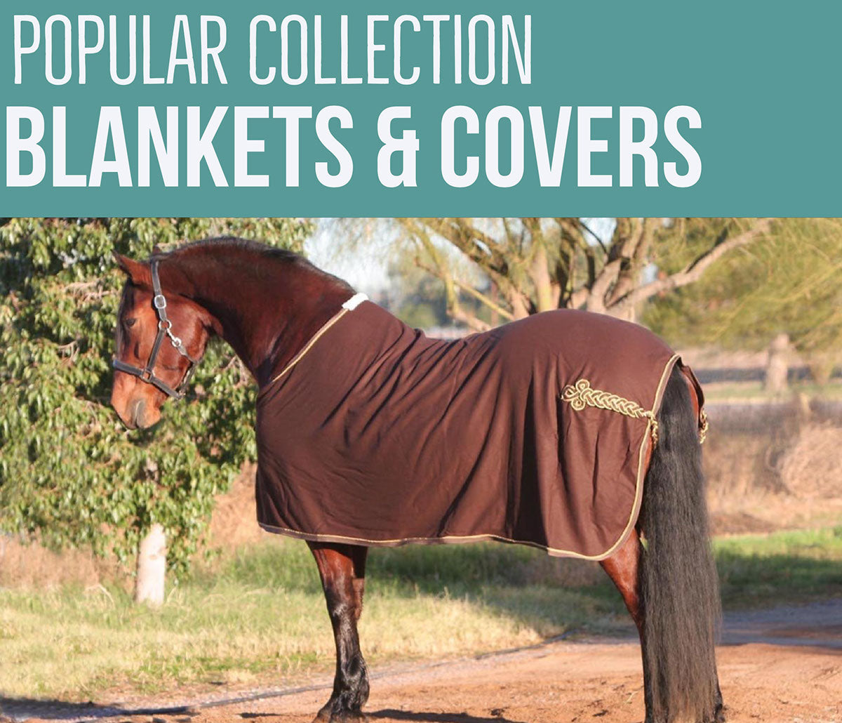 Horse Cover