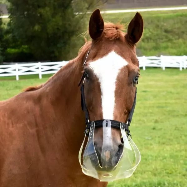 ThinLine Flexible Filly Grazing Muzzle