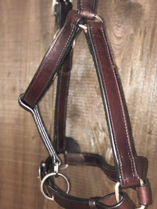 Rugged Leather Draft Horse Halter