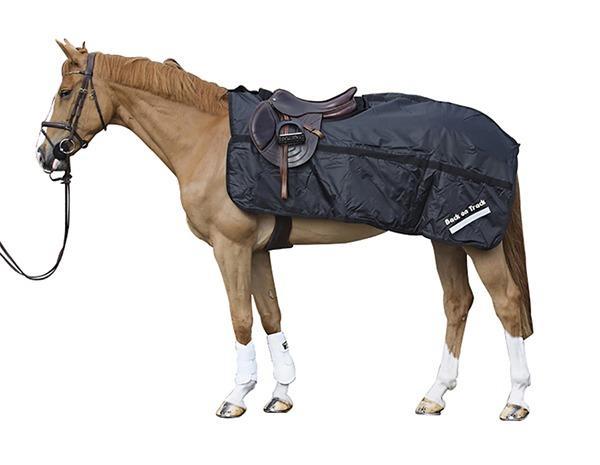 https://warmbloodtackstore.com/cdn/shop/products/back-on-track-therapeutic-exercise-sheet-horse-blanket-87-back-on-track-15838134173792_600x465.jpg?v=1611086170