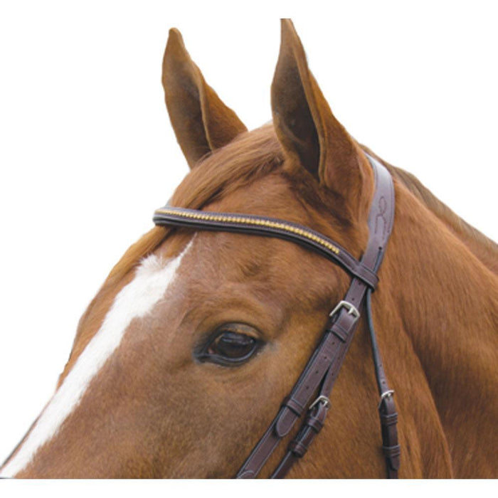 Exselle Elite Plain Raised Leather Jumper Event Bridle with 2 Browbands