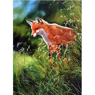 Fox in the Grass - Greeting Card