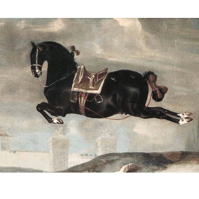 Black Horse in Capriole - Greeting Card