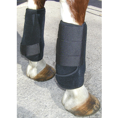 Draft Horse Sport Boot Warmblood Tack Store