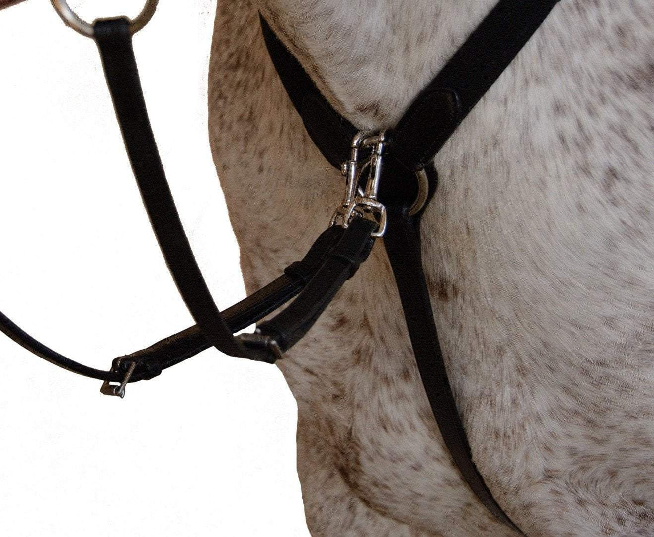 Martingales & Breastplates — Warmblood Tack Store