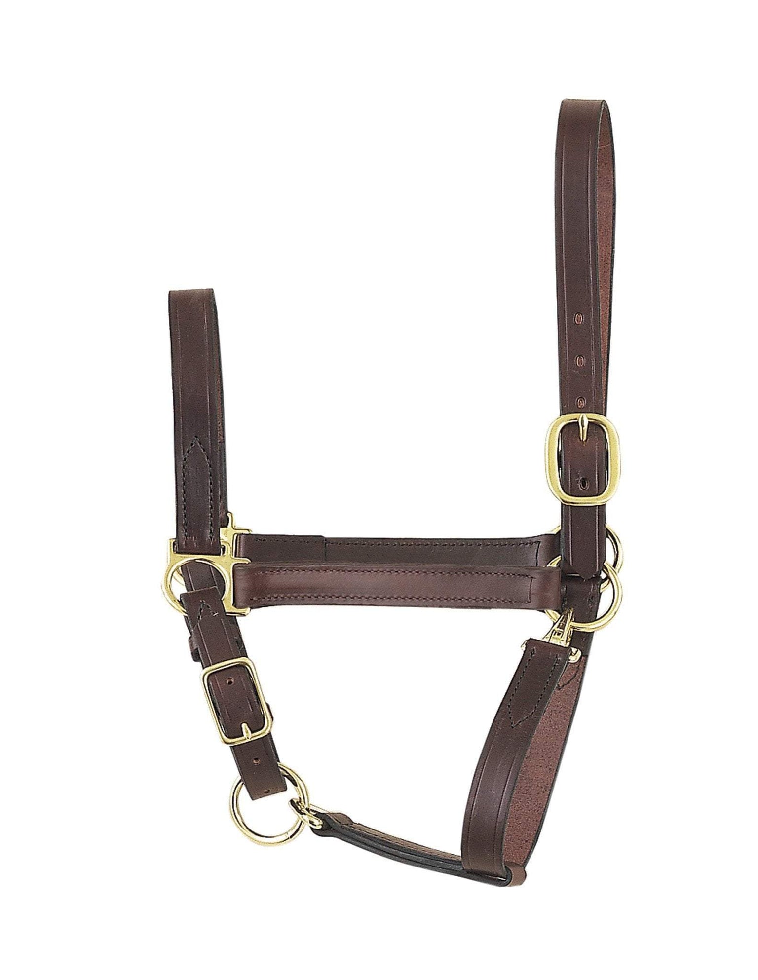 Halters — Warmblood Tack Store